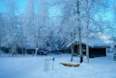 winter old cabin